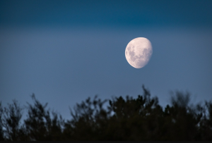Убывающая Луна с 14 по 27 июля 2022 года повлияет на все знаки зодиака