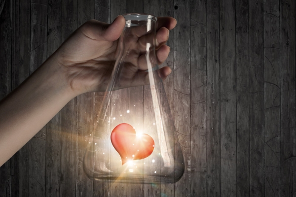Не сердцем единым: как любовь меняет мозг согласно науке