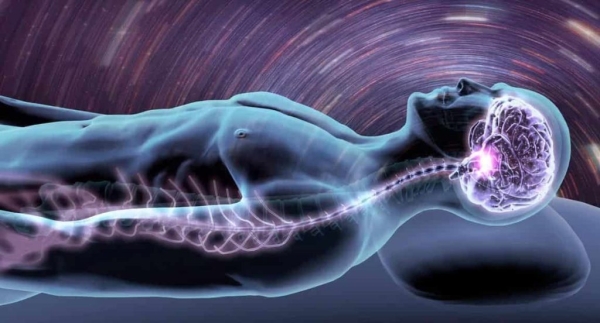 Какие чудеса происходят с нашим телом, пока мы спим