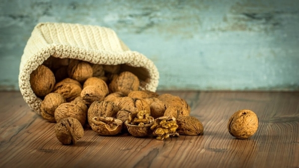Запастись на весь год: можно ли хранить в холодильнике грецкие орехи