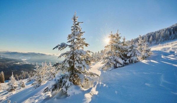 День зимнего солнцестояния 21 декабря 2022 года знаменует победу Солнца над тьмой и возрождение жизни на Земле