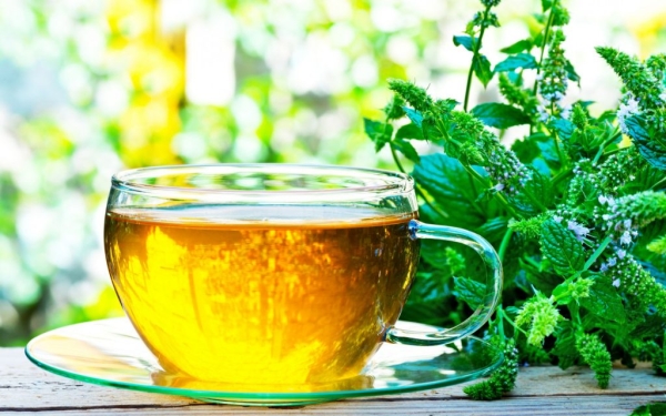 Какова польза травяных чаев и почему частое их употребление может нанести вред