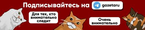 Для iPhone вышло приложение ChatGPT. Как загрузить его в российском App Store 
