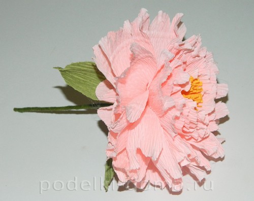 Цветок георгина из гофробумаги