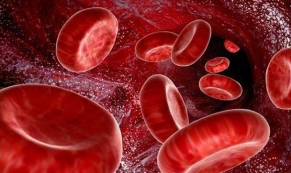 Как влияют резус-фактор и группа крови на характер человека и его биополе