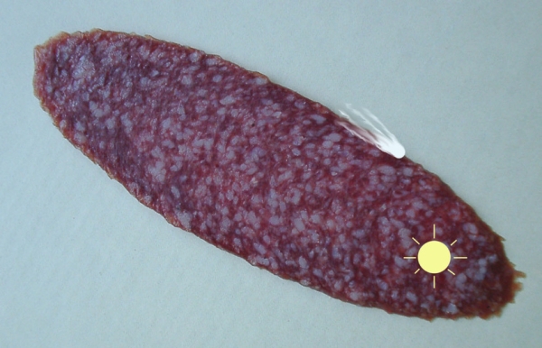 Физик-теоретик выдал в Твиттере за звезду обычную сырокопченую колбасу